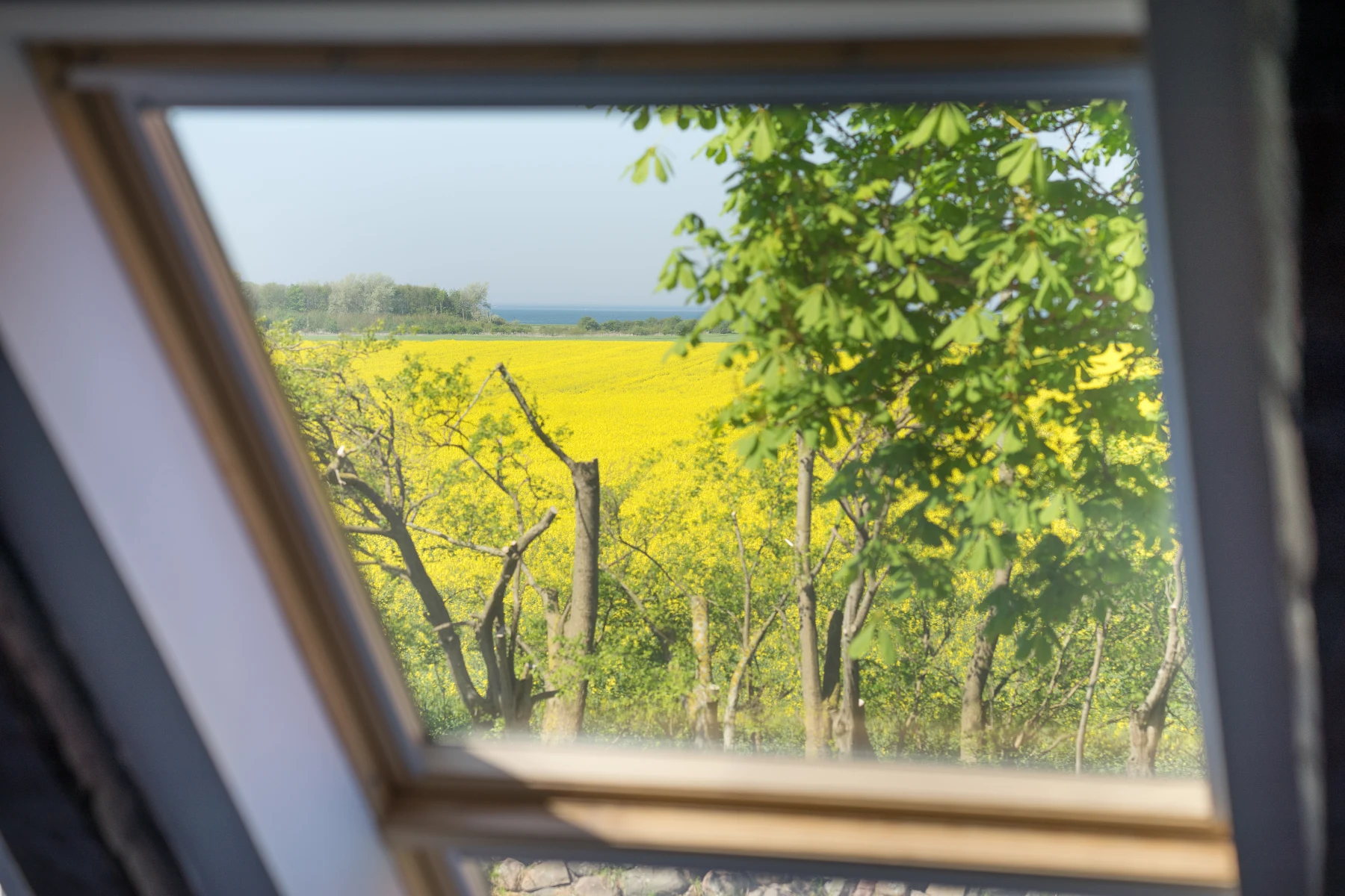 Gartenblick aus dem Fenster