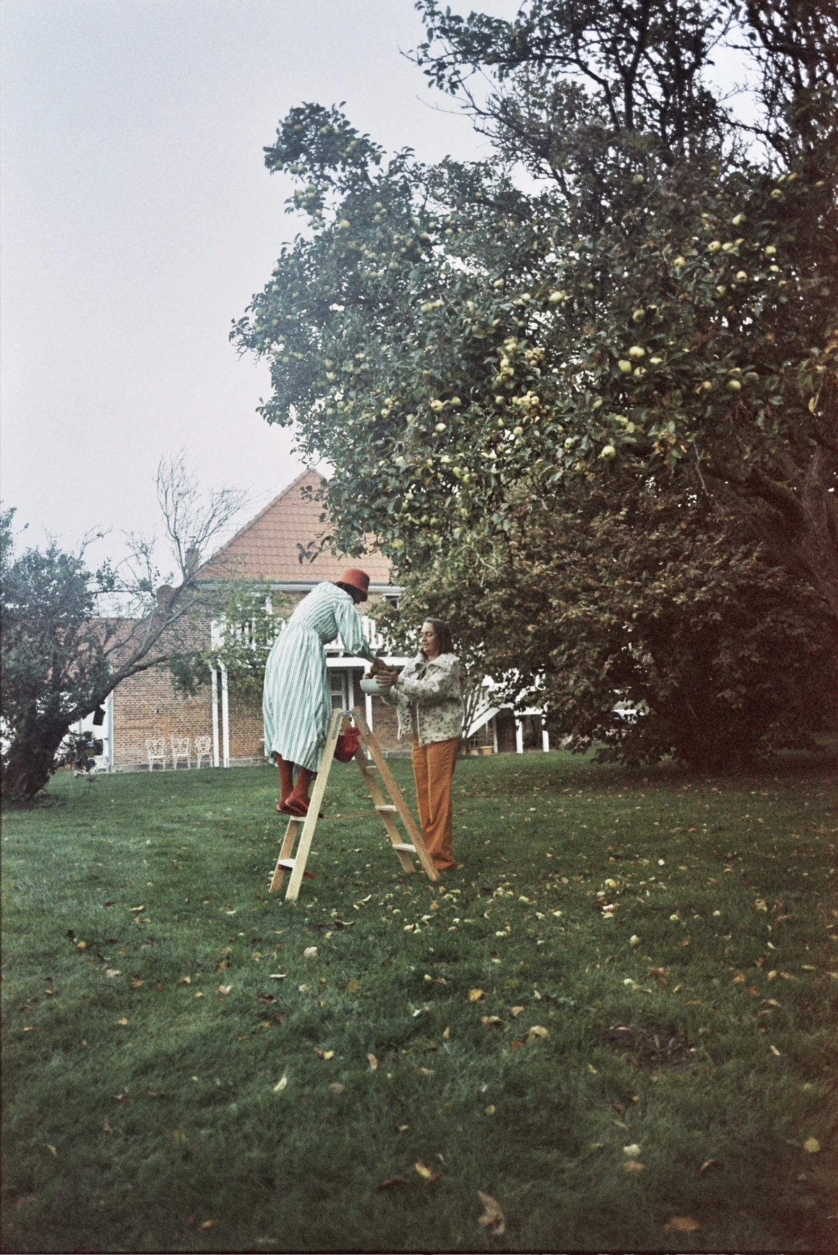 Frauen in einem Garten