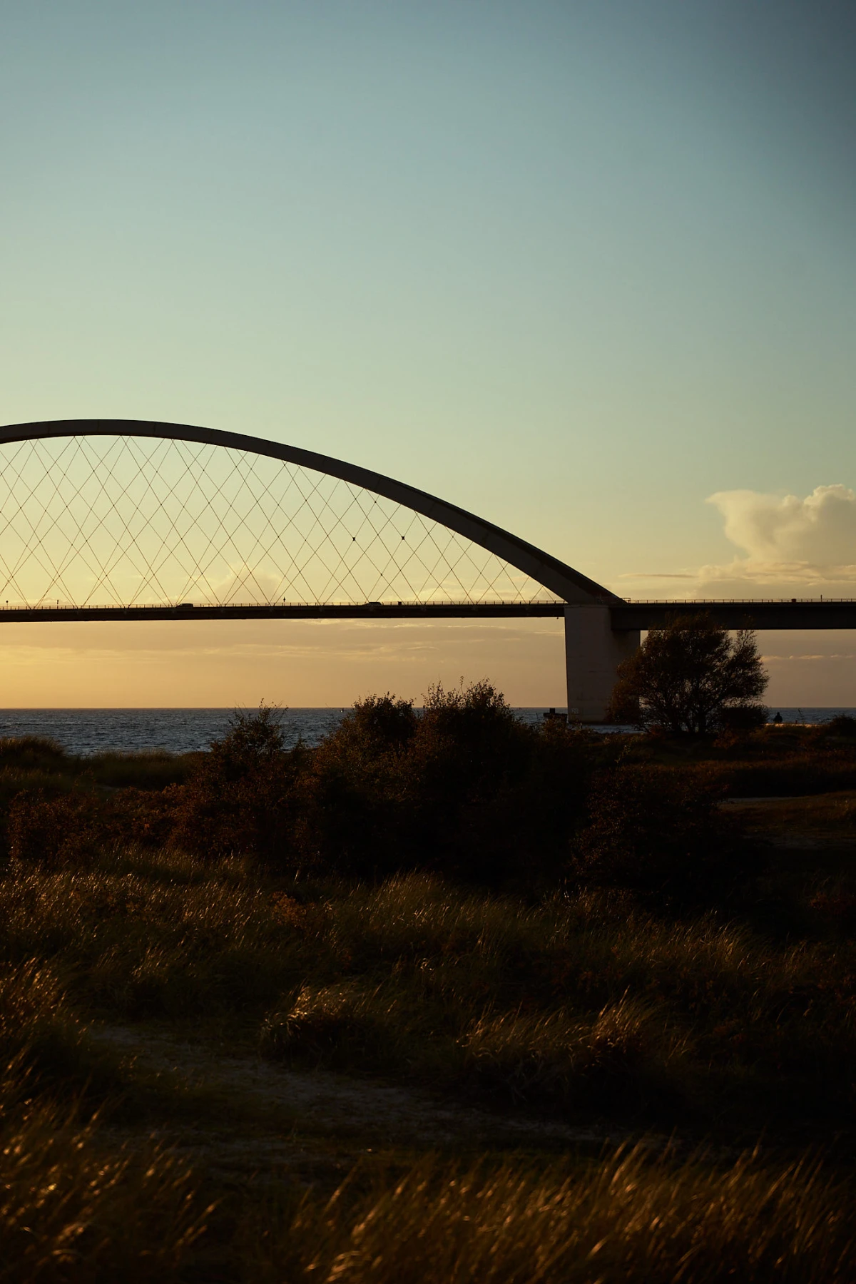 Brücke in einem Feld