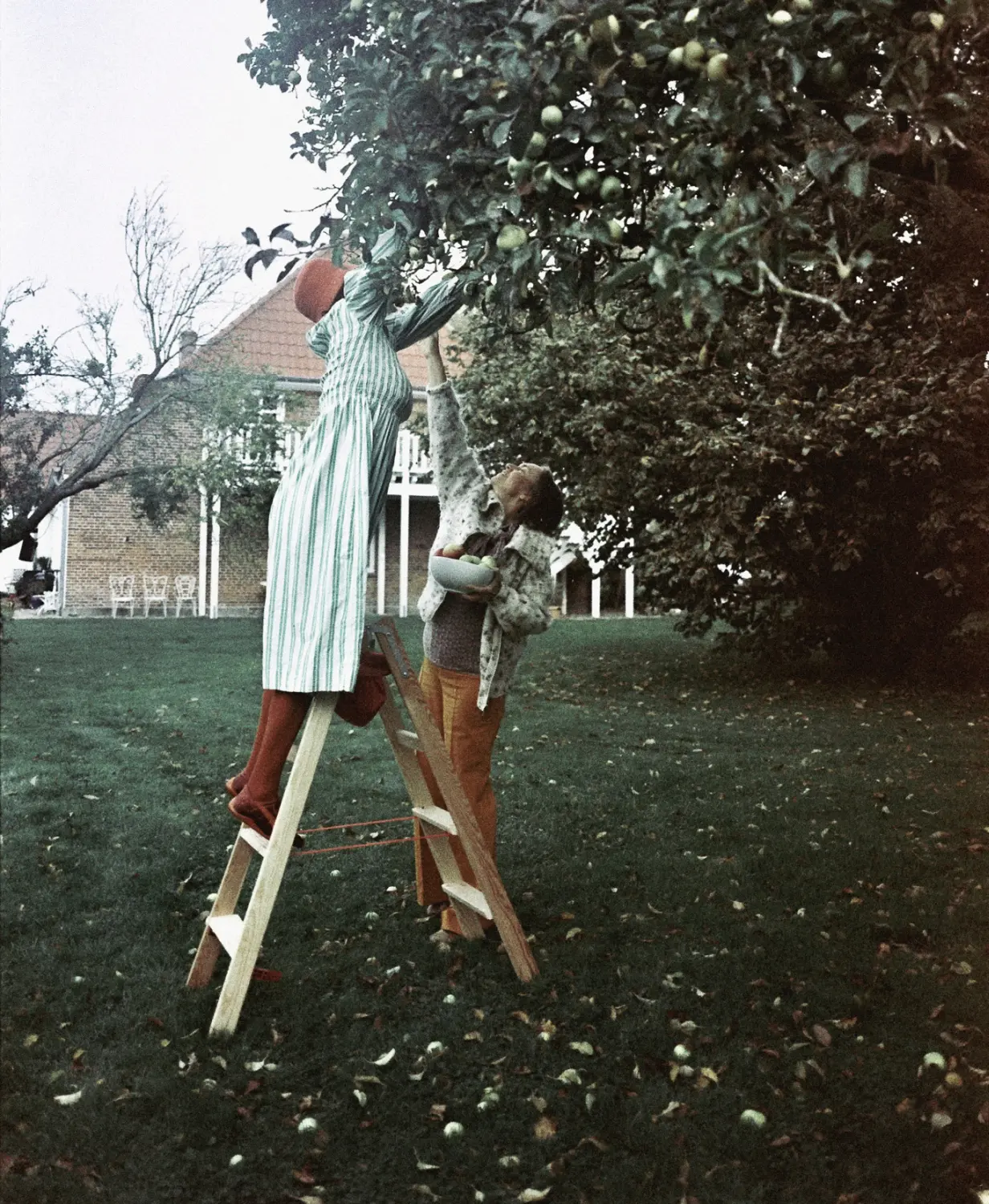 Frauen in einem Garten
